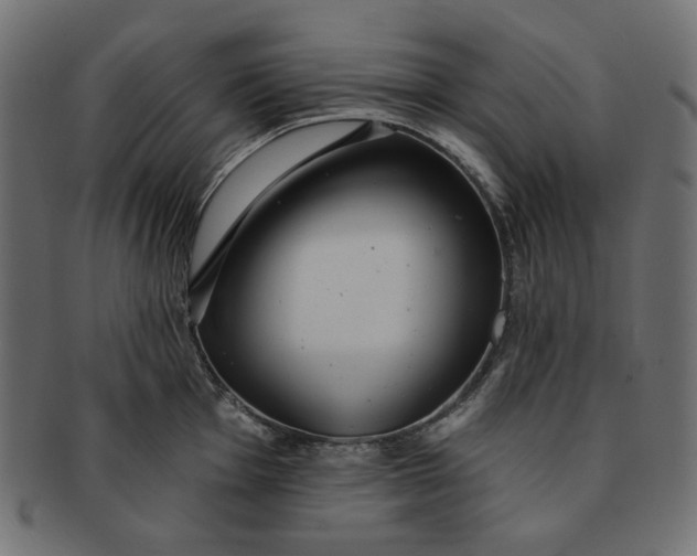 X0000091511001200709070949