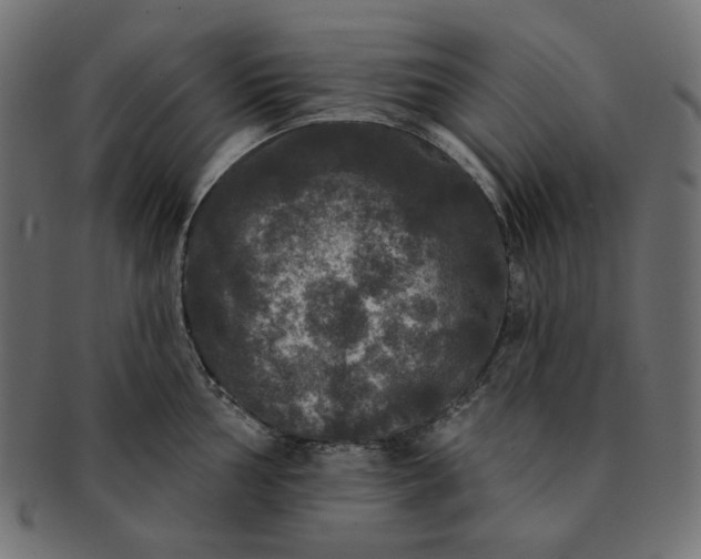 X0000091511002200709070949