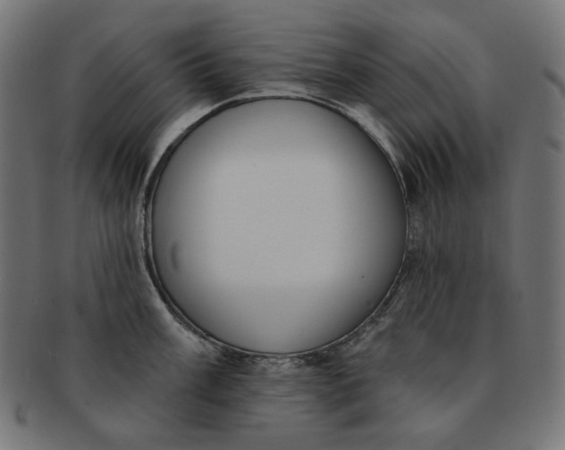 X0000091511003200709070949