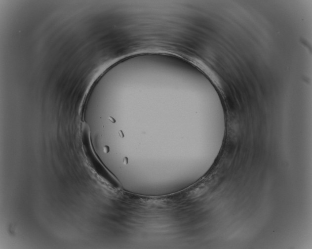 X0000091511004200709070949