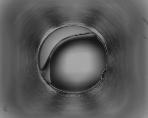 X0000091511005200709070949