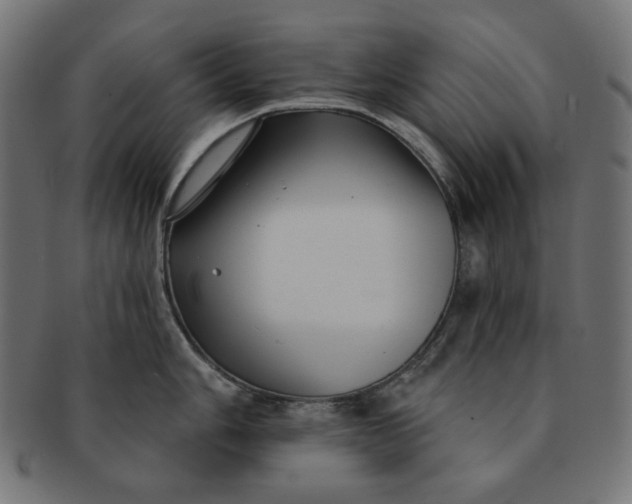 X0000091511006200709070949