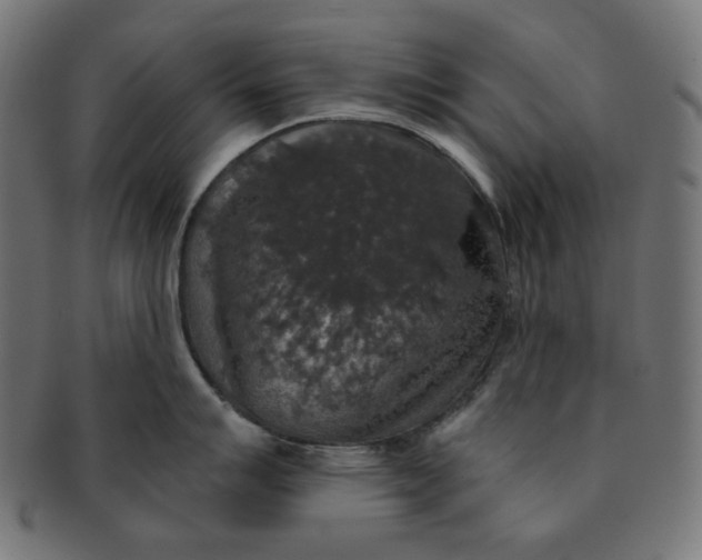 X0000091511007200709070949