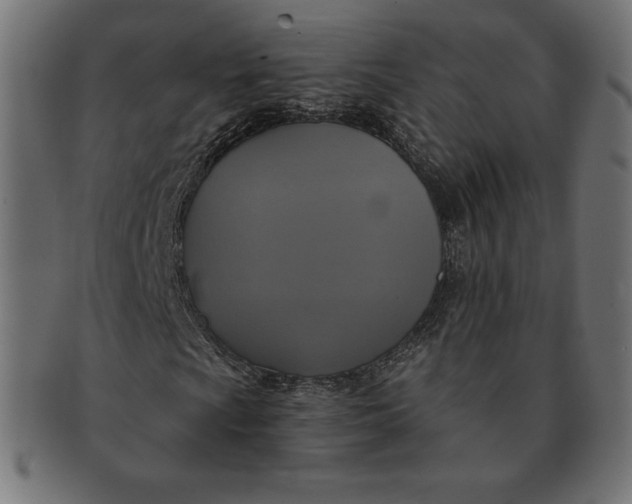 X0000091511009200709070948