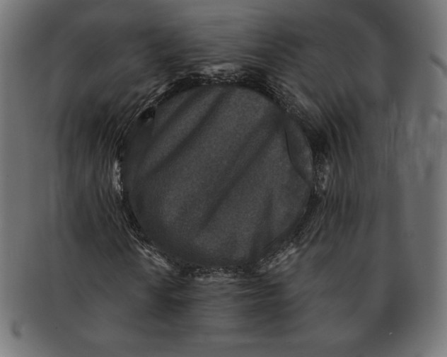 X0000091511010200709070948