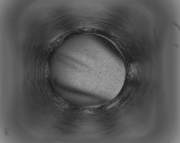 X0000091511014200709070948