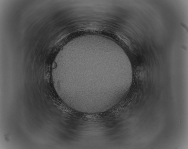 X0000091511015200709070948