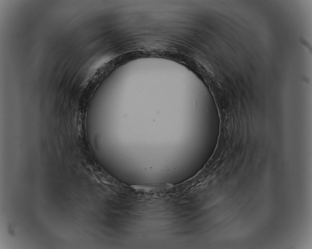 X0000091511016200709070948