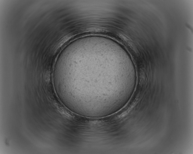 X0000091511017200709070948