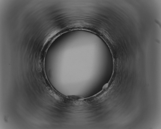 X0000091511018200709070948