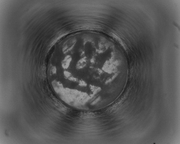 X0000091511019200709070948