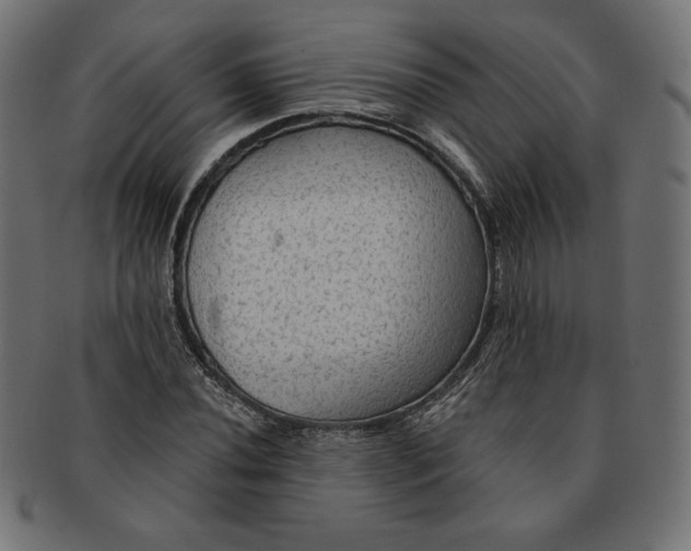 X0000091511020200709070948