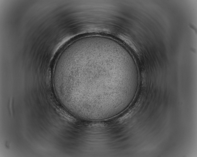 X0000091511021200709070948