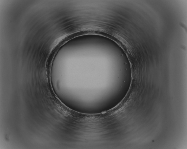 X0000091511022200709070948