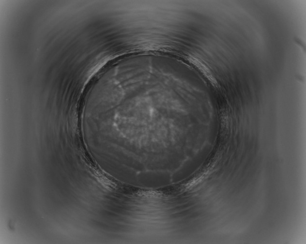 X0000091511023200709070948