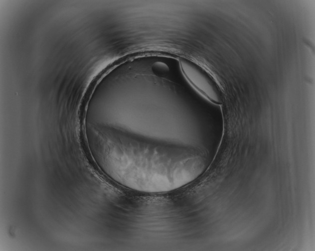 X0000091511024200709070948