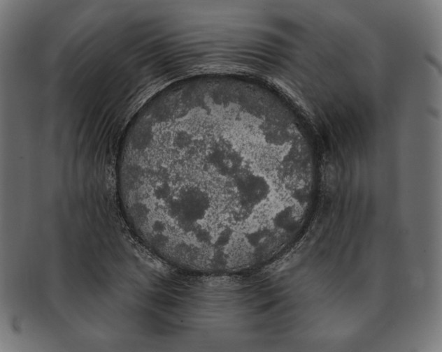 X0000091511025200709070948