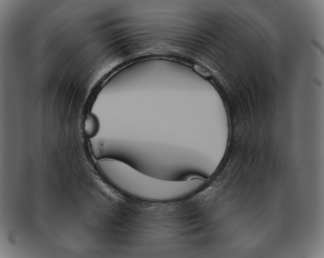 X0000091511026200709070948