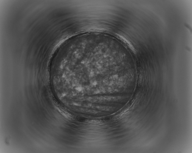 X0000091511027200709070948