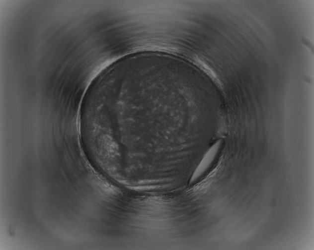 X0000091511028200709070948