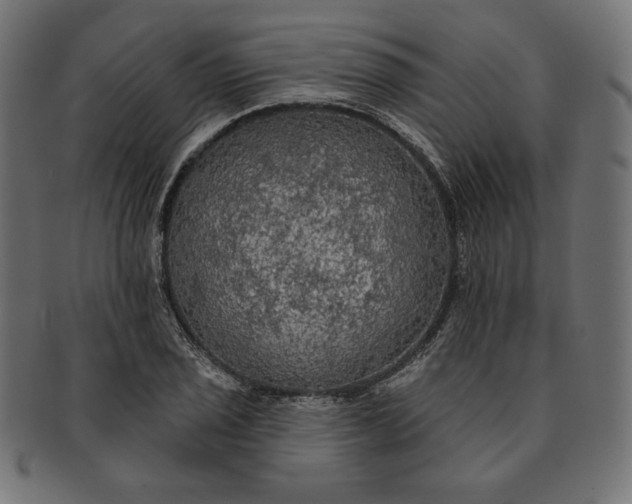 X0000091511029200709070948