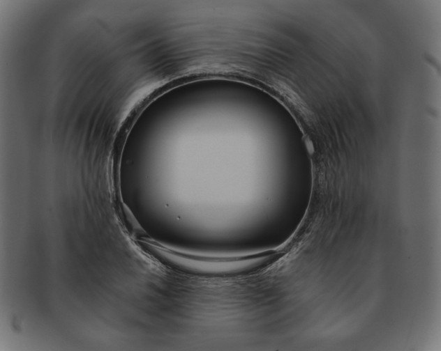 X0000091511030200709070948