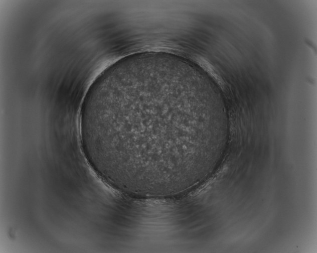 X0000091511032200709070948