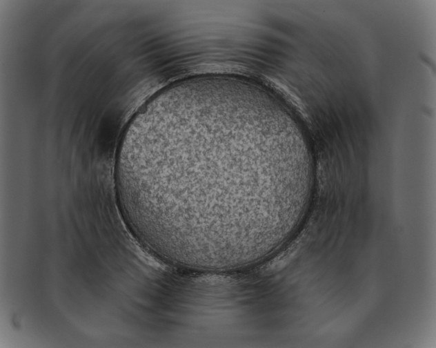 X0000091511033200709070948