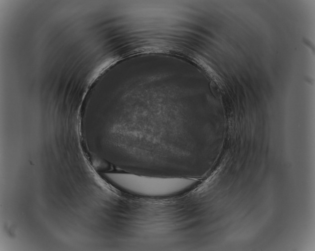 X0000091511034200709070948