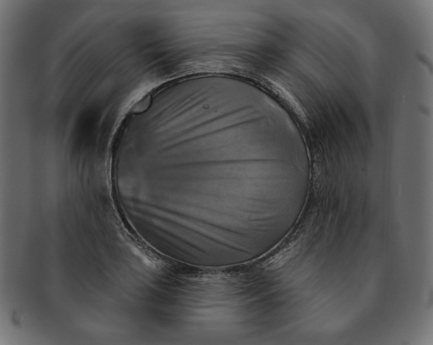 X0000091511035200709070948