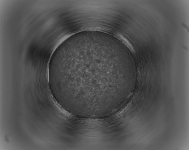 X0000091511036200709070948