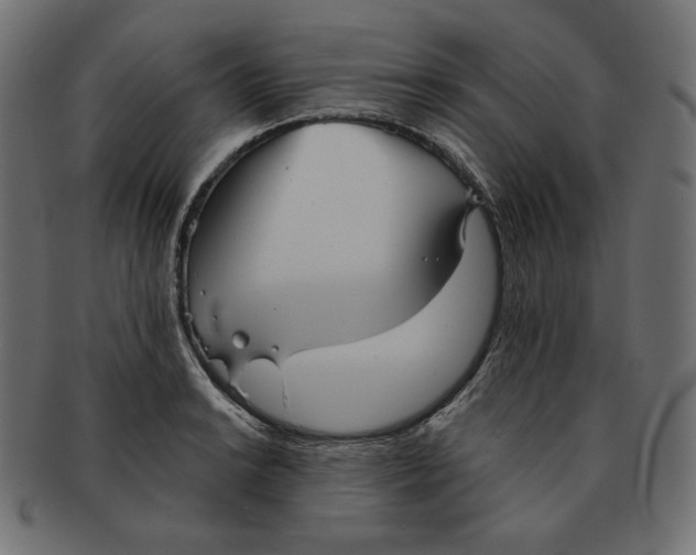 X0000091511038200709070948