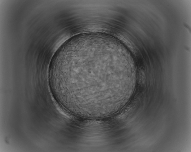 X0000091511039200709070948