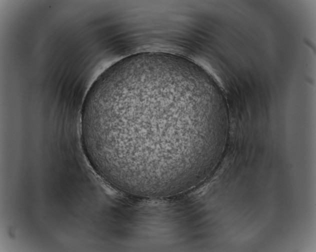 X0000091511040200709070948