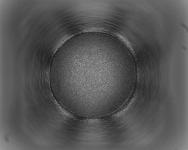 X0000091511041200709070948