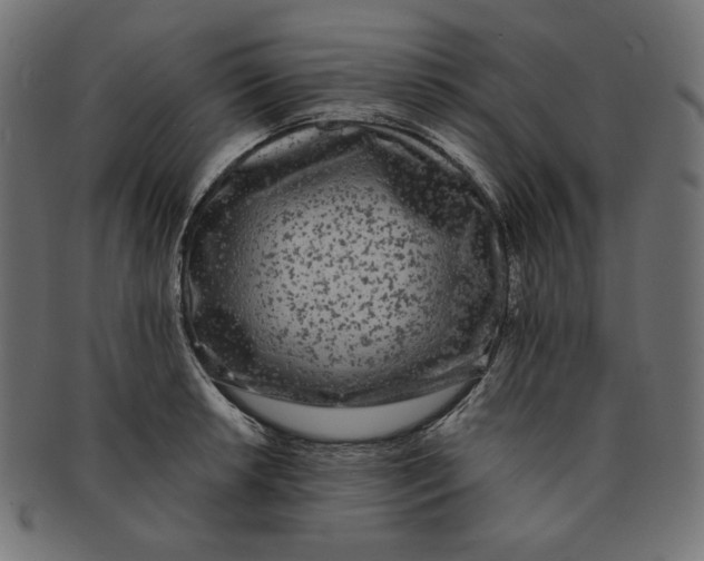 X0000091511042200709070948