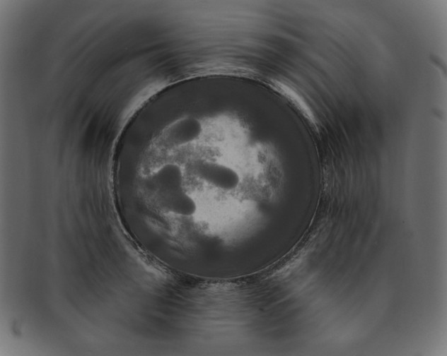 X0000091511043200709070948