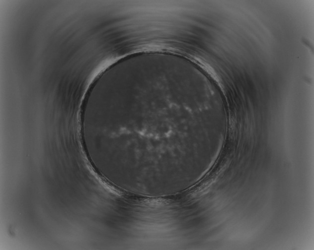 X0000091511045200709070948