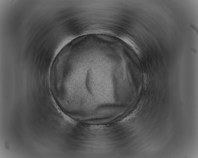 X0000091511046200709070948