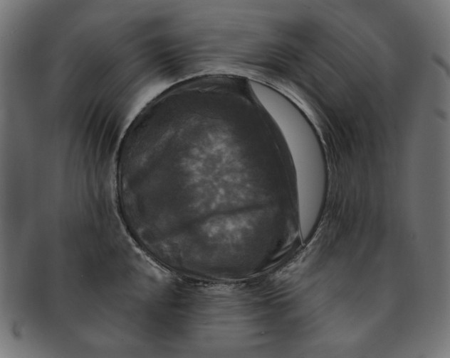 X0000091511048200709070949