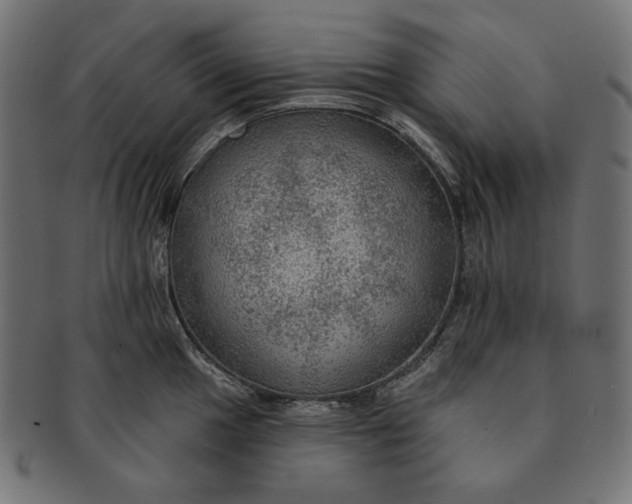 X0000091511049200709070949