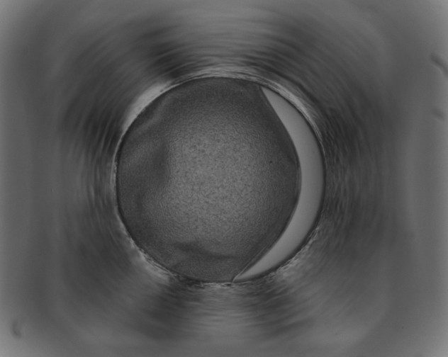 X0000091511050200709070949