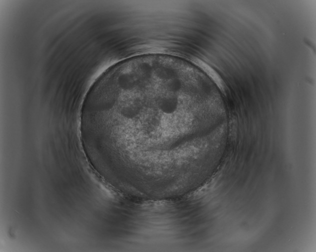 X0000091511051200709070949