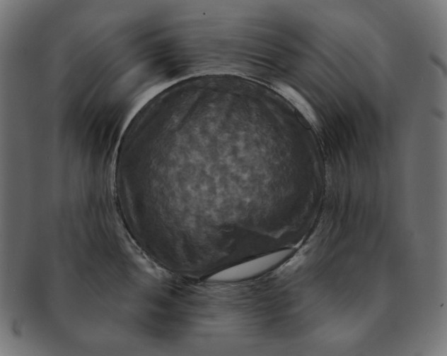 X0000091511052200709070949