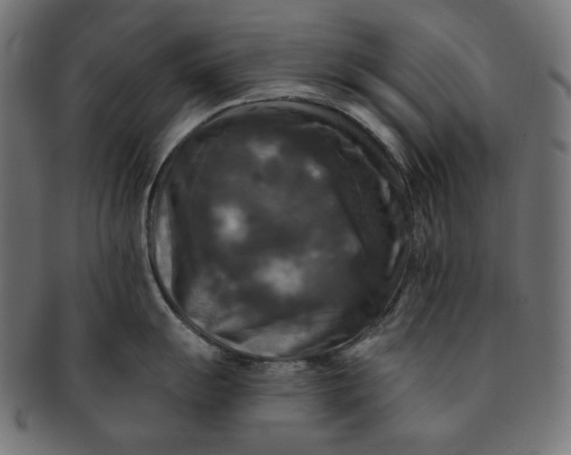 X0000091511055200709070949