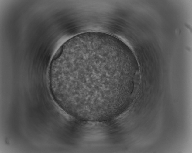 X0000091511056200709070949