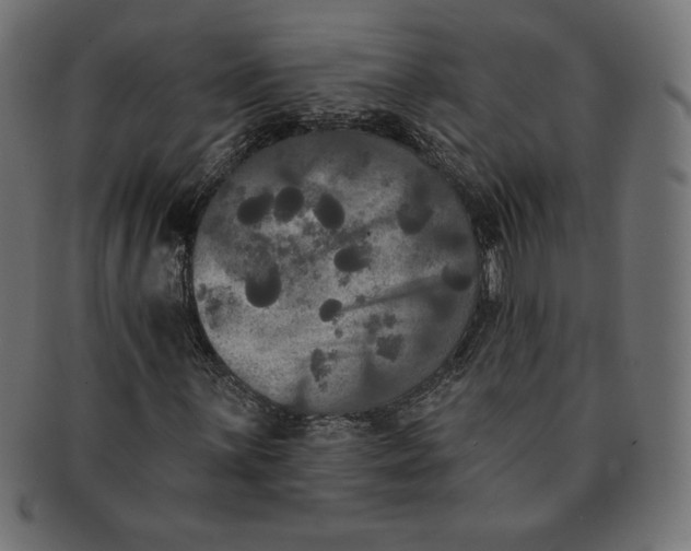 X0000091511059200709070948