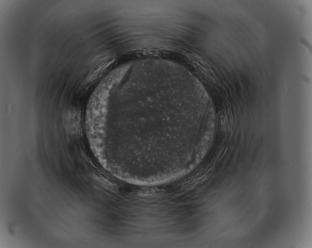 X0000091511060200709070948