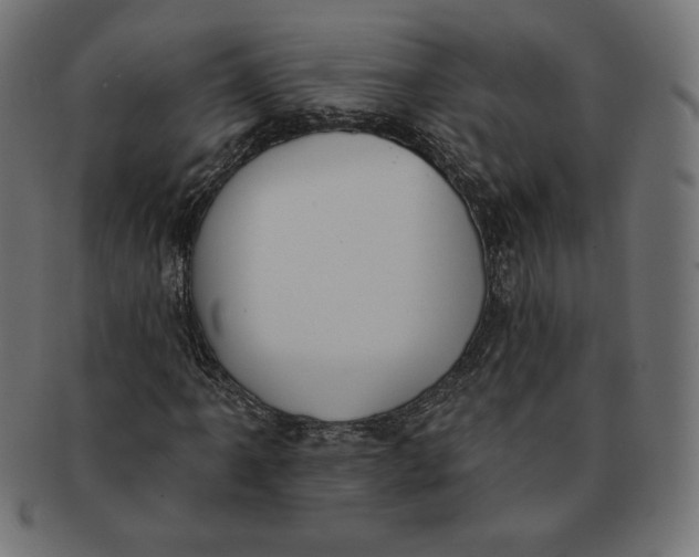 X0000091511061200709070948