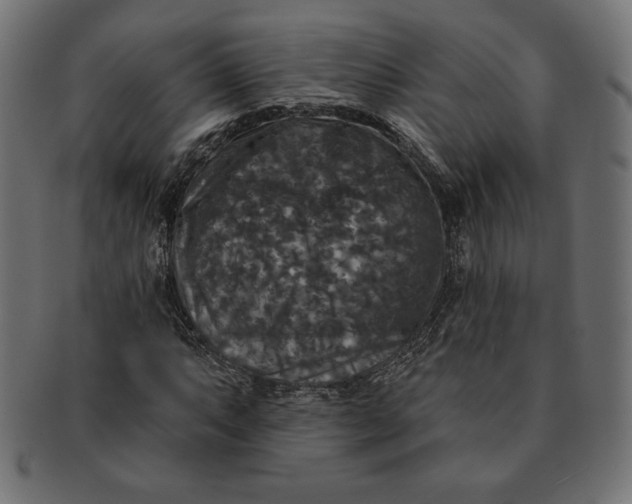 X0000091511063200709070948